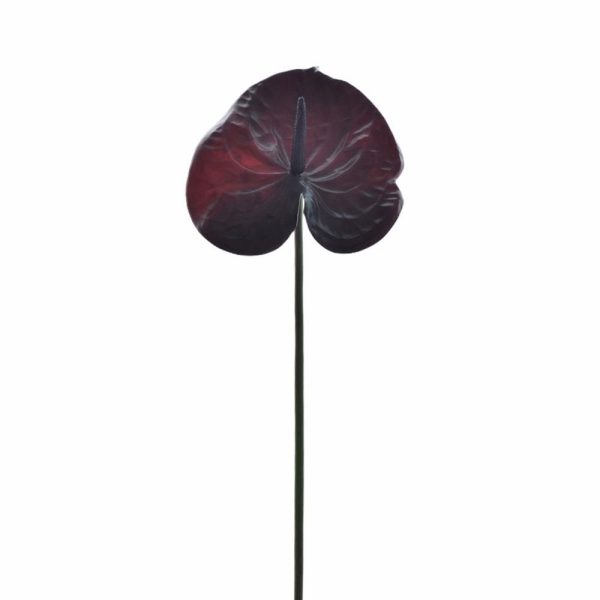 ANTHURIUM RAMO CM 60 BURGUNDY ANTHURIUM RAMO CM 60 BURGUNDY