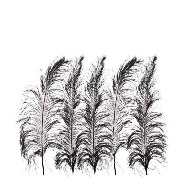 PIUME STRUZZO 50/60CM PZ.5 NERO PIUME STRUZZO 50/60CM PZ.5 NERO