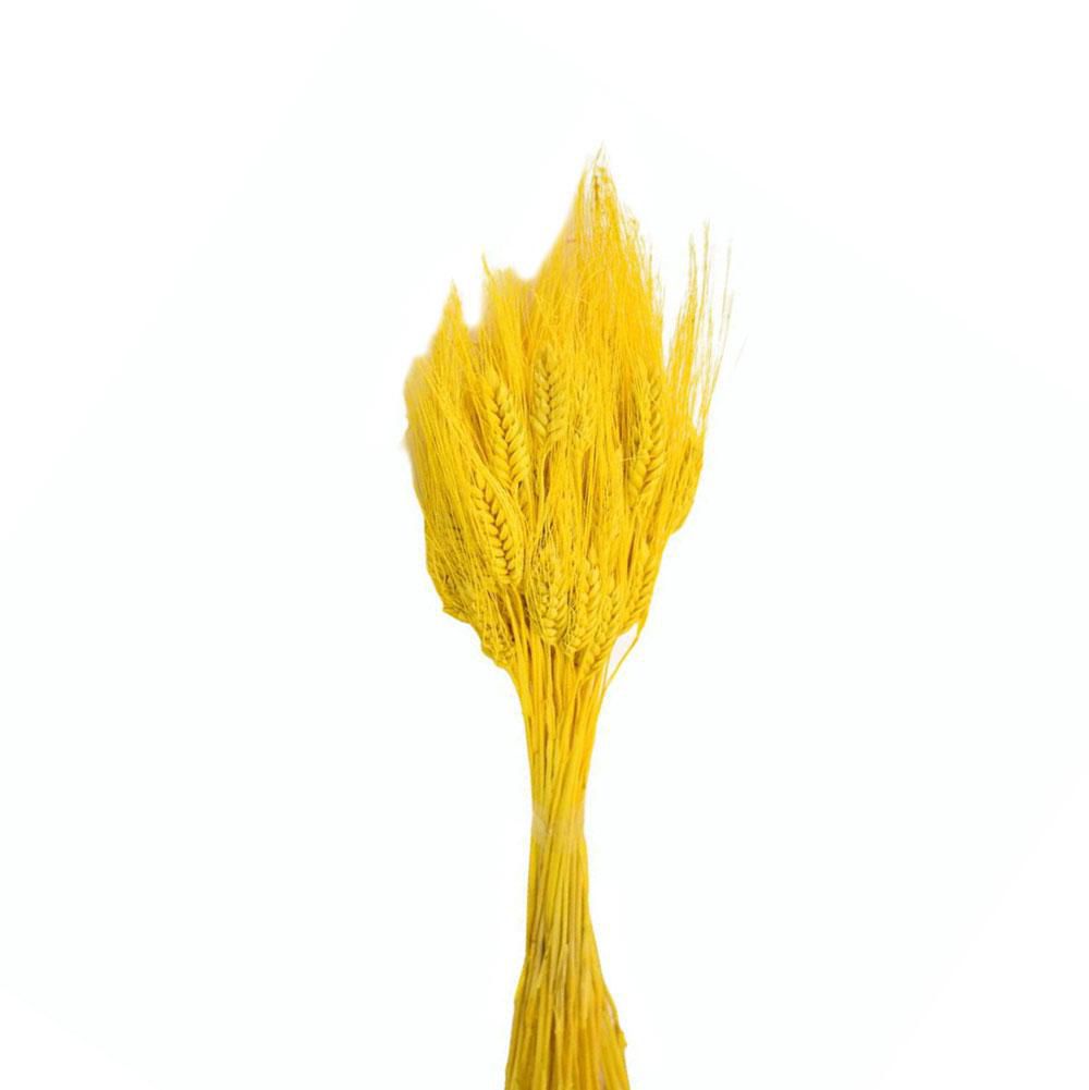 GRANO BAFFO GR.200 GIALLO GRANO BAFFO GR.200 GIALLO