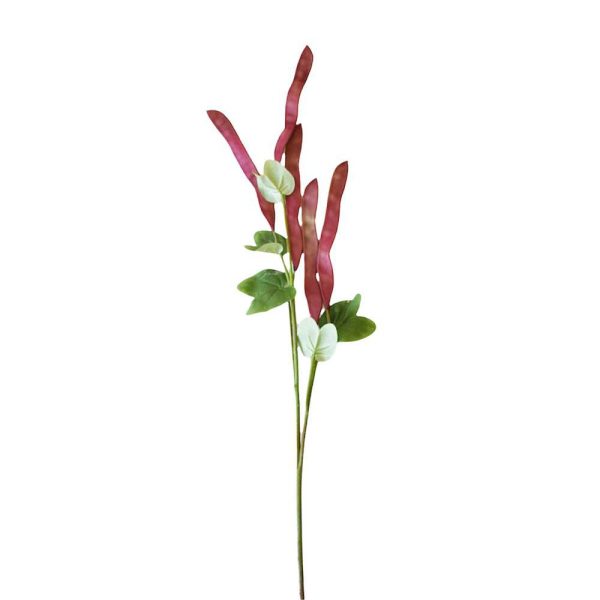 HYACINTH BEAN SPRAY CM.100/120 BURGUNDY HYACINTH BEAN SPRAY CM.100/120 BURGUNDY