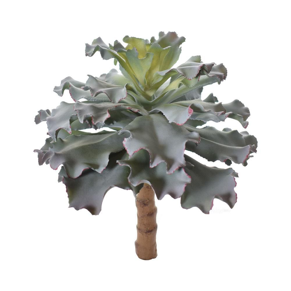 SUCCULENT PIANTA H.40 D.30 CM. VERDE SUCCULENT PIANTA H.40 D.30 CM. VERDE