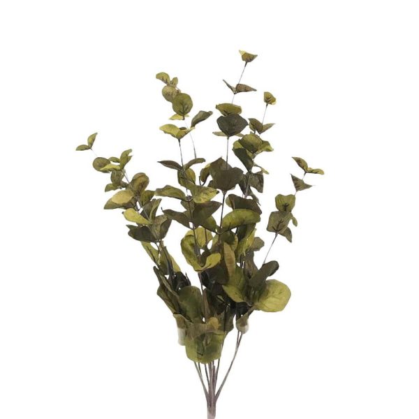 EUCALYPTO BUSH 10F CM.50 VERDE EUCALYPTO BUSH 10F CM.50 VERDE