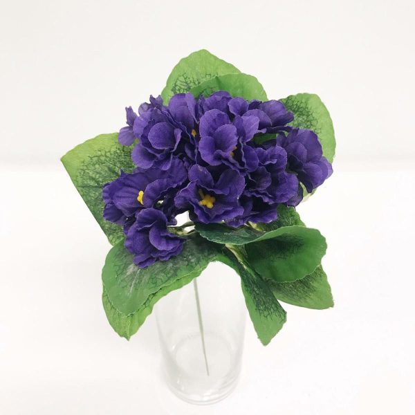 VIOLETTA CM.25 PORPORA VIOLETTA CM.25 PORPORA