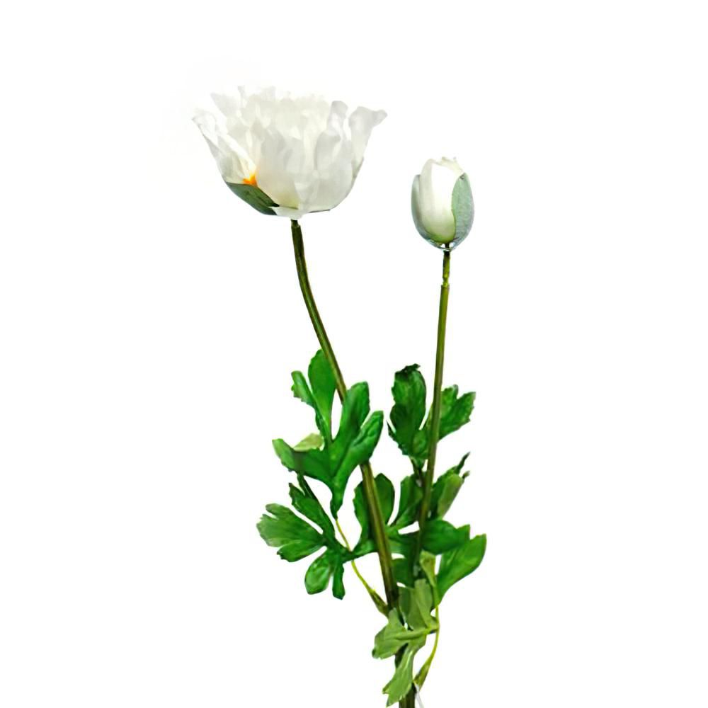 PAPAVERO FRESH CUT CM.50 CREMA PAPAVERO FRESH CUT CM.50 CREMA