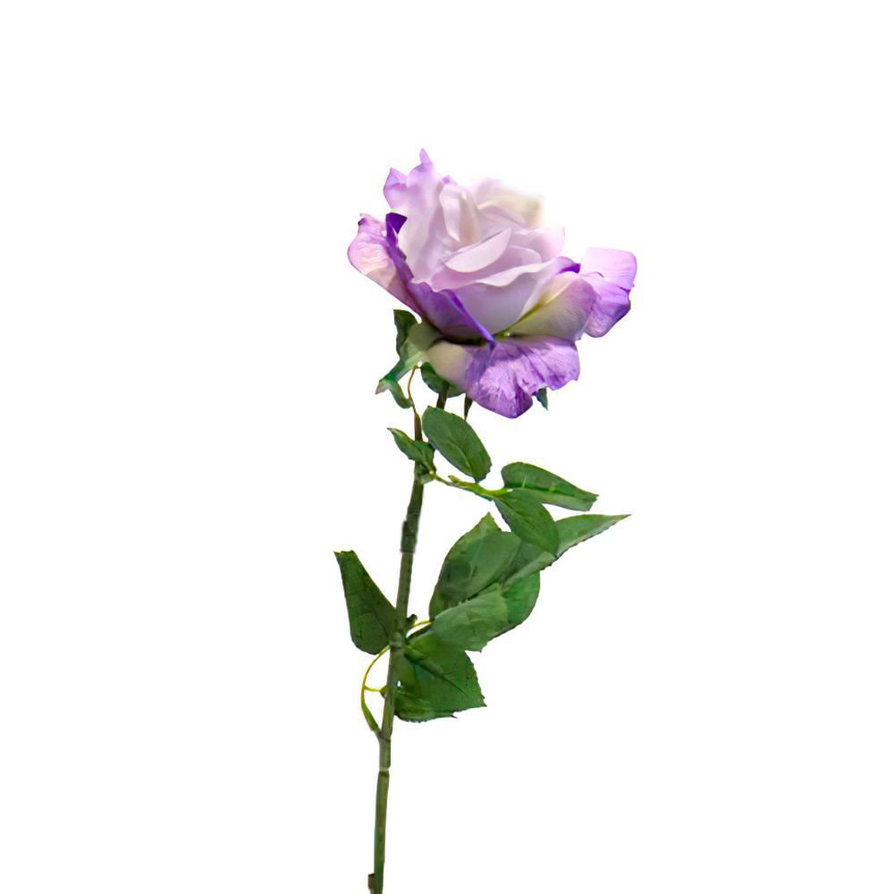 ROSA GEORGIA CM.70 LAVANDA