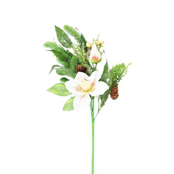 HELLEBORUS PICK HELLEBORUS PICK