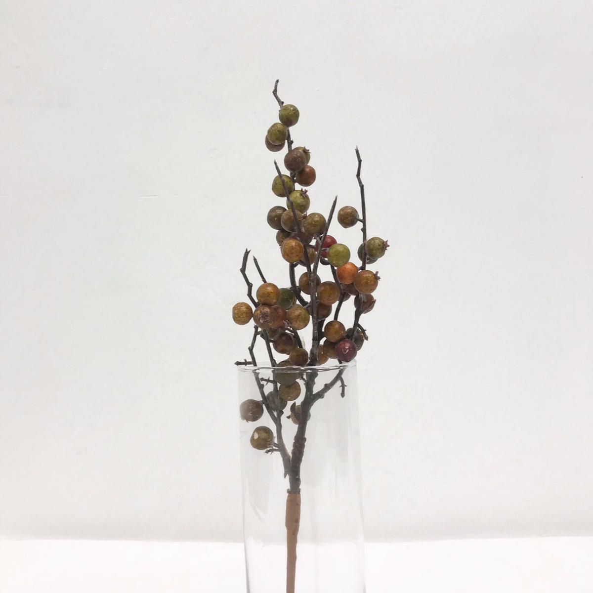 BACCHE RAMO AUTUNNALE ARANCIO BACCHE RAMO AUTUNNALE ARANCIO