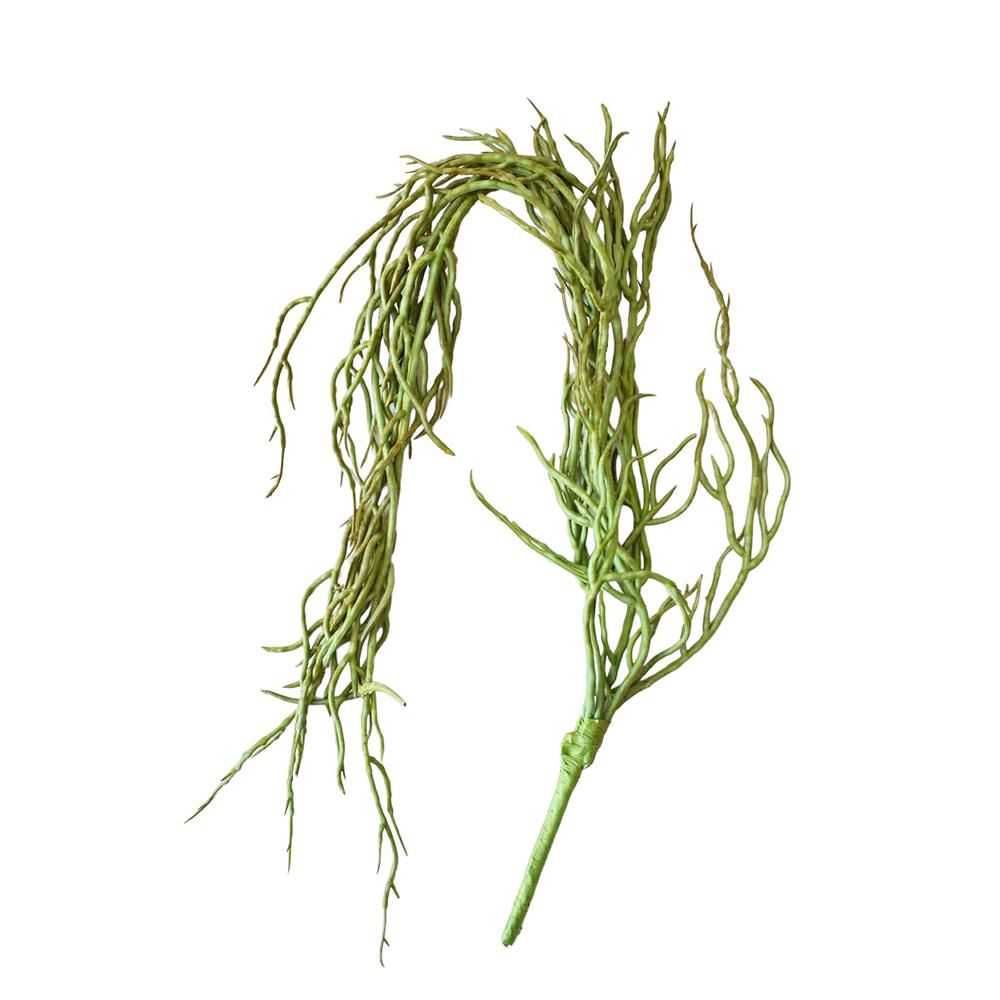 PHALAENOPSIS RADICI CM 40 VERDE