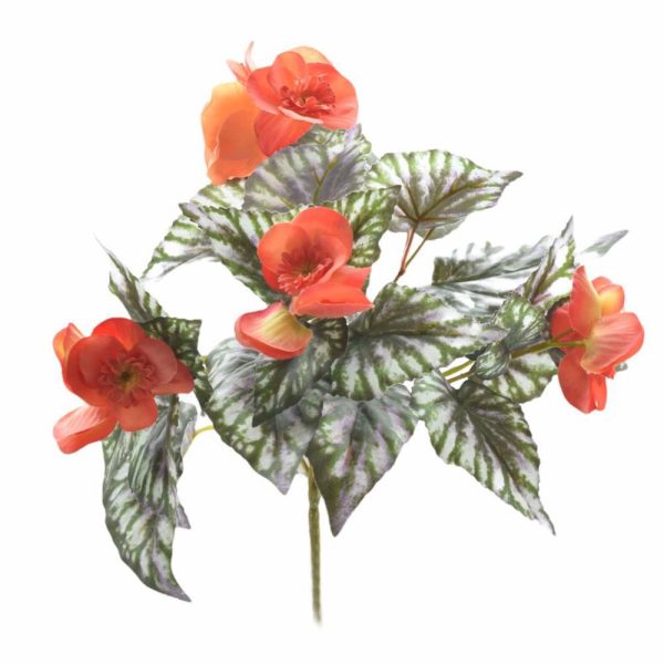BEGONIA FIORITA CM.28 ARANCIO BEGONIA FIORITA CM.28 ARANCIO