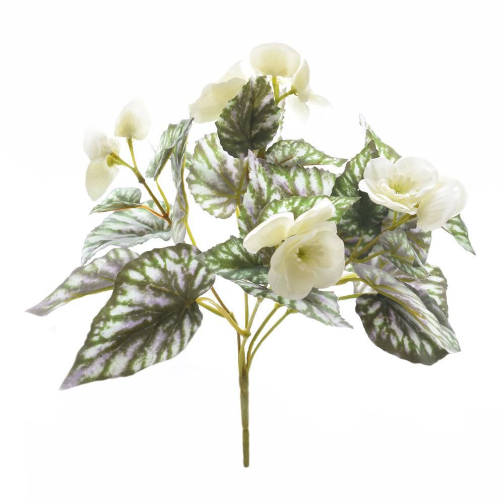 BEGONIA FIORITA CM.28 CREMA BEGONIA FIORITA CM.28 CREMA