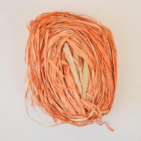 RAFIA CONFEZIONE GR.100ARANCIO