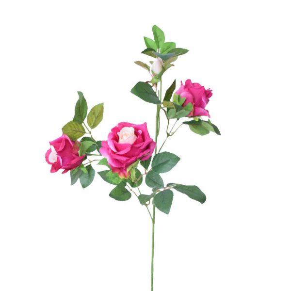 ROSA GINA RAMO CM.60 BEAUTY ROSA GINA RAMO CM.60 BEAUTY