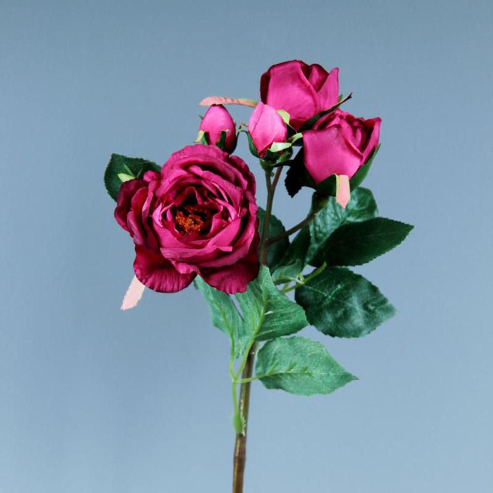 ROSA CABBAGE CM.45 BEAUTY ROSA CABBAGE CM.45 BEAUTY