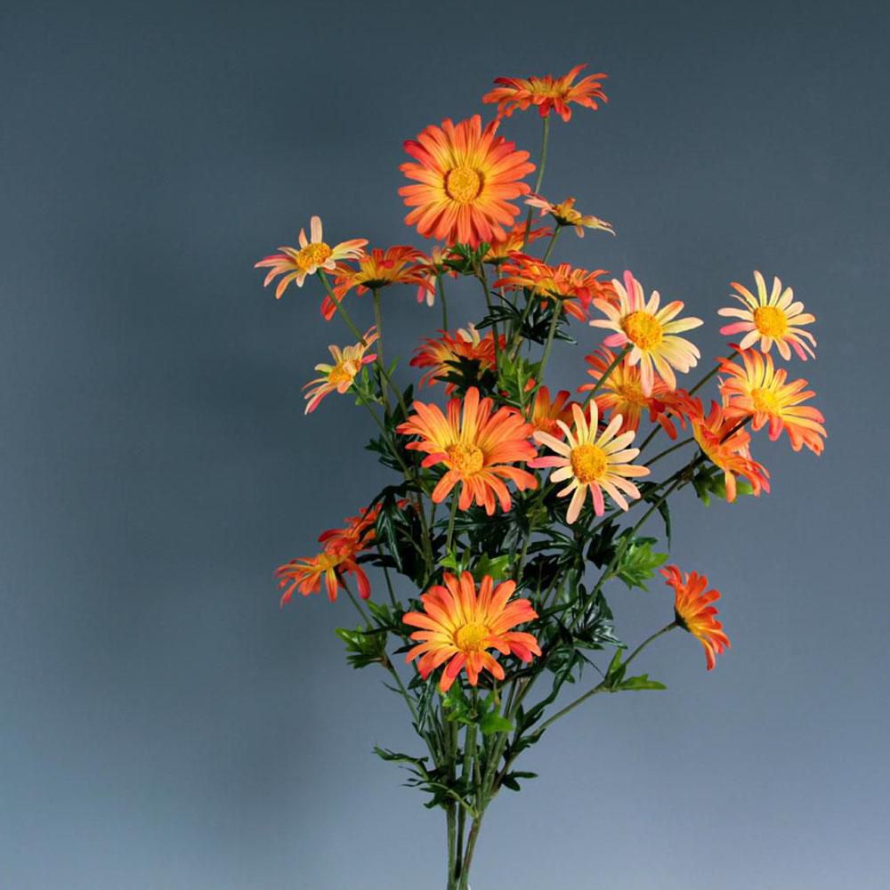 MARGHERITE BOUQUET ARANCIO MARGHERITE BOUQUET ARANCIO