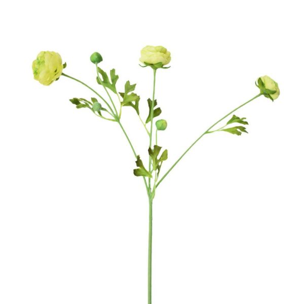 RANUNCOLO 3F CM.65 VERDE RANUNCOLO 3F CM.65 VERDE