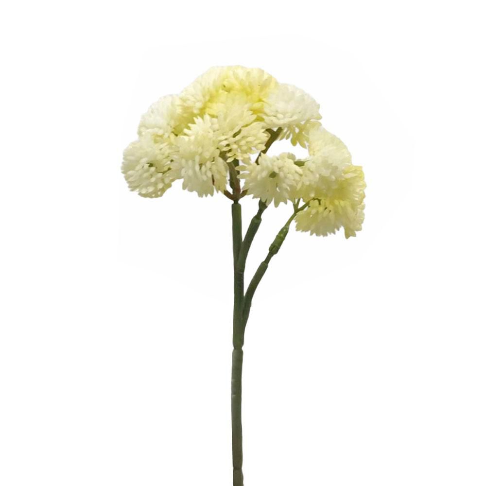 ANETHUM PICK CM.30 CREMA