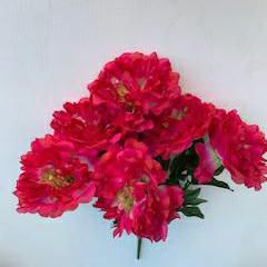 PEONIA BOUQUET 6F BEAUTY