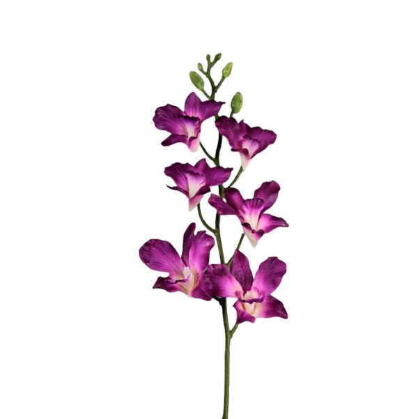 DENDROBIO RAMO NATURAL TOUCH CM 60 MALVA DENDROBIO RAMO NATURAL TOUCH CM 60 MALVA