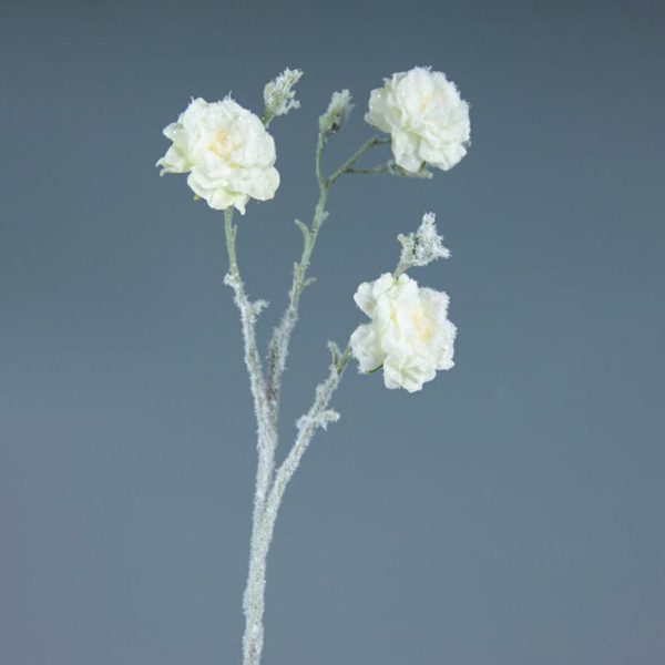 ROSINO SELVATICO FROSTED CREMA