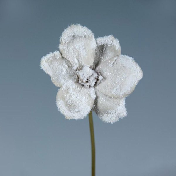 MAGNOLIA INNEVATA MARRONE MAGNOLIA INNEVATA MARRONE