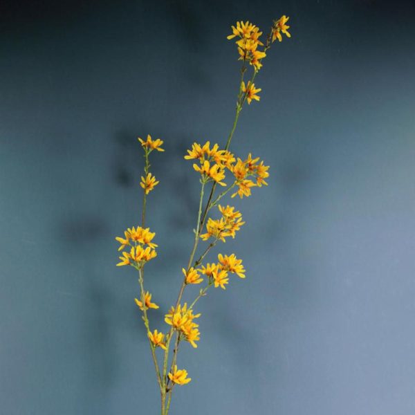 FORSIZIA CM.125 GIALLO