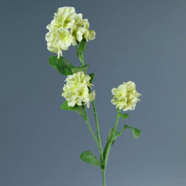 NONTISCORDARDIME CM.60 VERDE NONTISCORDARDIME CM.60 VERDE