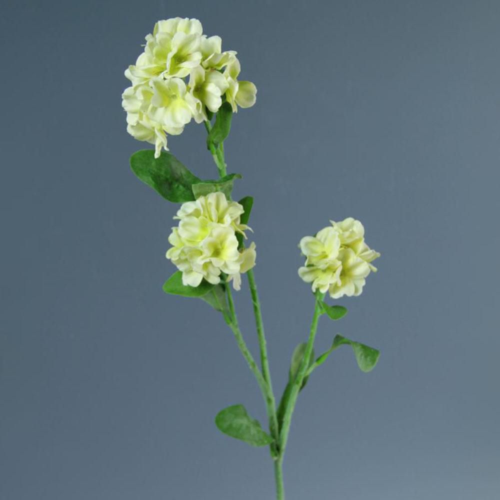 NONTISCORDARDIME CM.60 VERDE