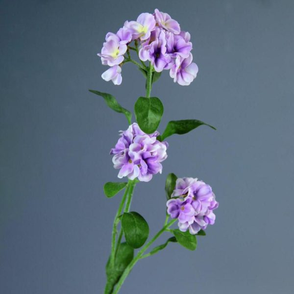 NONTISCORDARDIME CM.60 LAVANDA NONTISCORDARDIME CM.60 LAVANDA