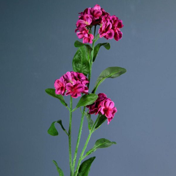 NONTISCORDARDIME CM.60 BEAUTY NONTISCORDARDIME CM.60 BEAUTY