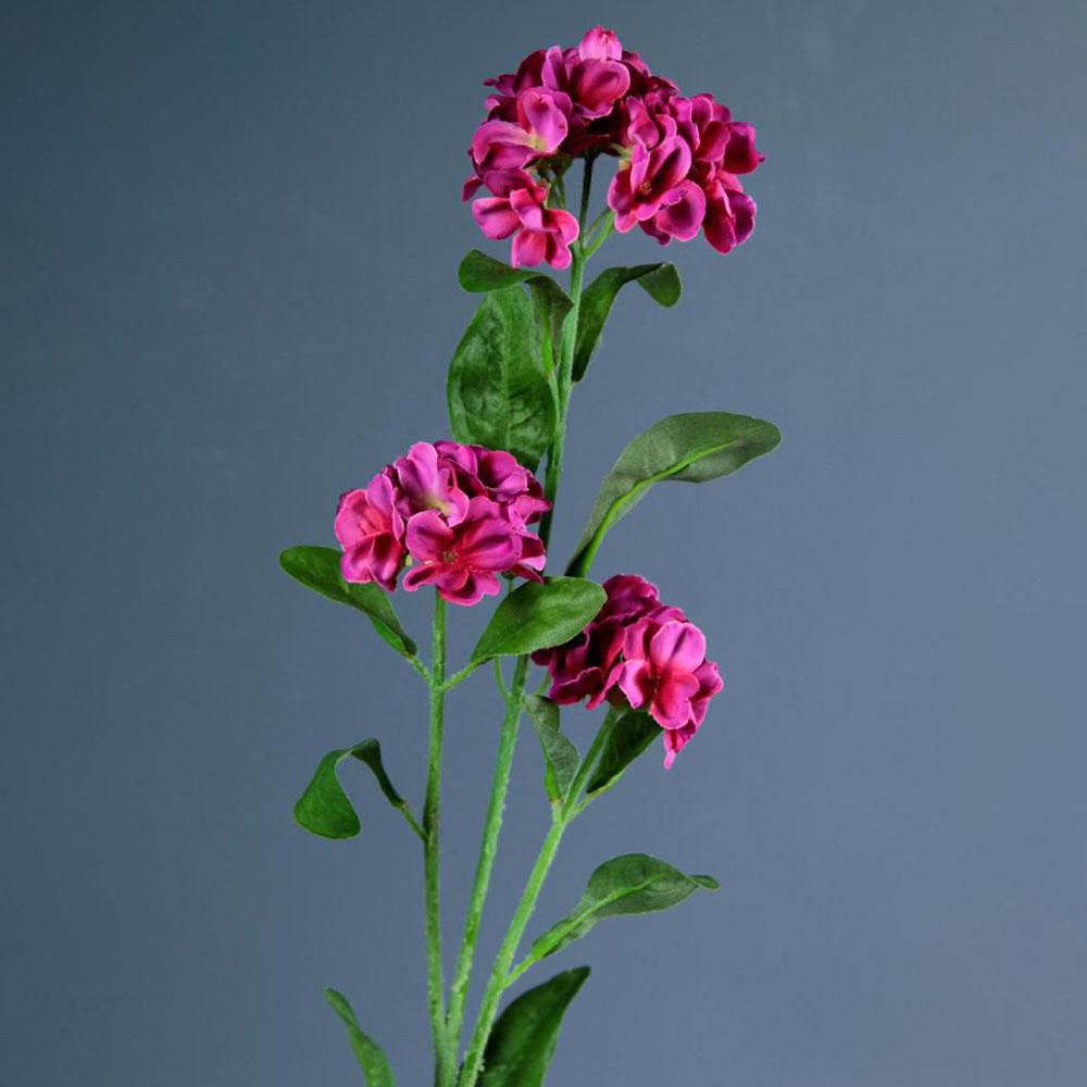 NONTISCORDARDIME CM.60 BEAUTY NONTISCORDARDIME CM.60 BEAUTY