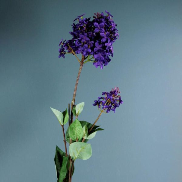 LILLA CM.95 VIOLA LILLA CM.95 VIOLA