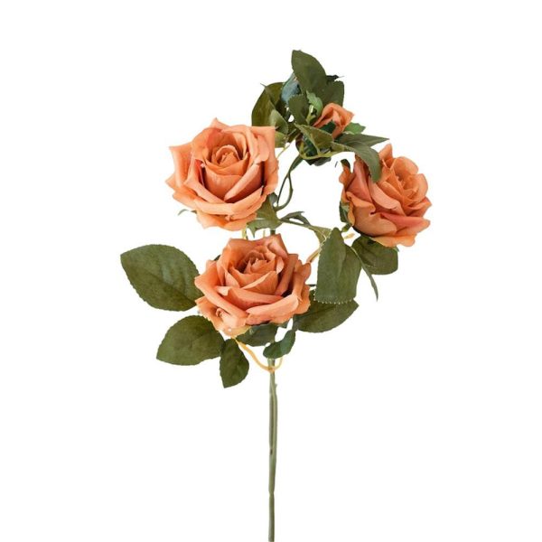 ROSA GINA RAMO CM.60 RUGGINE ROSA GINA RAMO CM.60 RUGGINE