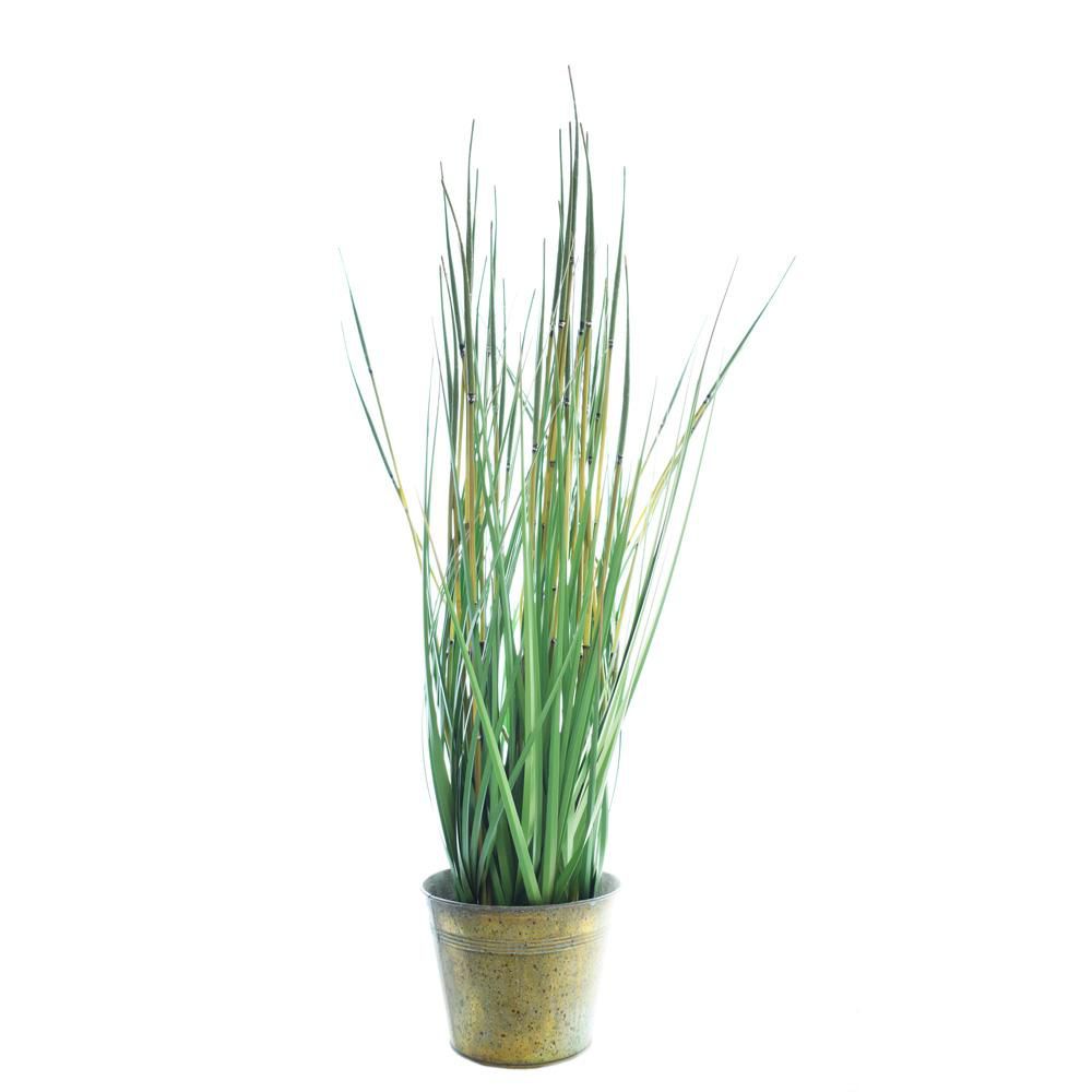 BAMBOO PIANTA GRASS C/VASO CM.90 VERDE BAMBOO PIANTA GRASS C/VASO CM.90 VERDE