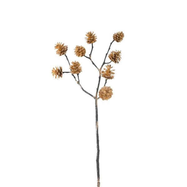 PIGNETTE RAMO CHAMPAGNE PIGNETTE RAMO CHAMPAGNE