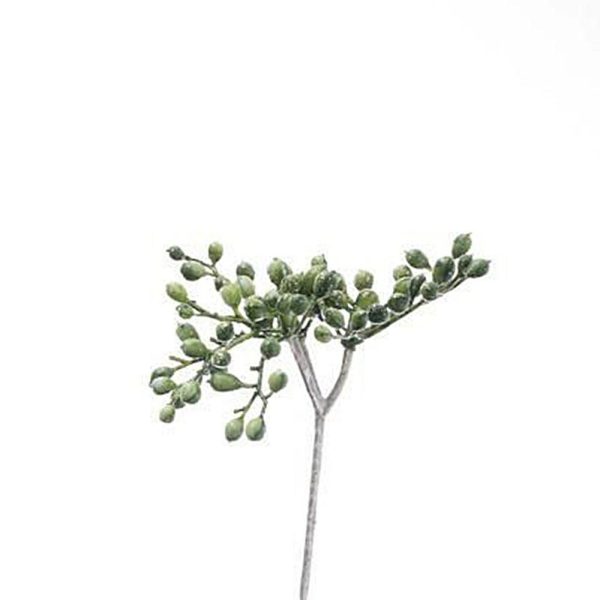 BACCHE PICK VERDE/ORO BACCHE PICK VERDE/ORO