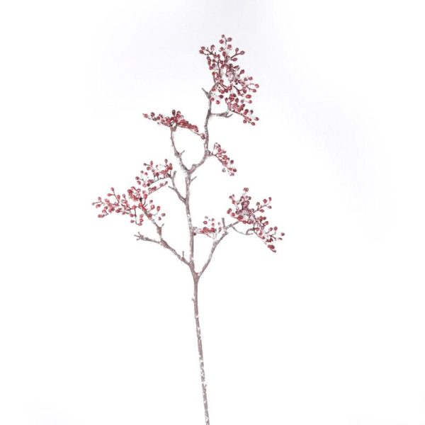 BACCHE ROSSE RAMO INNEVATO BACCHE ROSSE RAMO INNEVATO