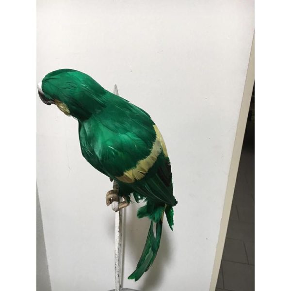 PAPPAGALLO H.60 CM VERDE PAPPAGALLO H.60 CM VERDE