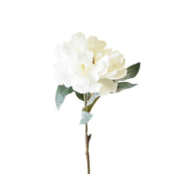 PEONIA INNEVATA CM.65 BIANCA PEONIA INNEVATA CM.65 BIANCA