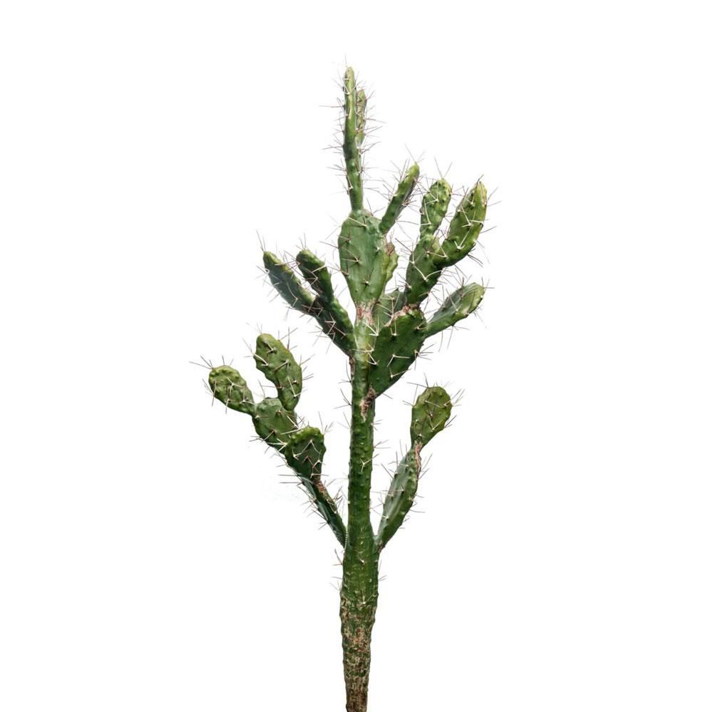 CACTUS PIANTA CM.105 VERDE CACTUS PIANTA CM.105 VERDE