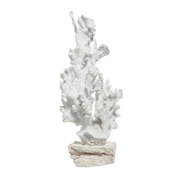 CORALLO BIANCO CORALLO BIANCO