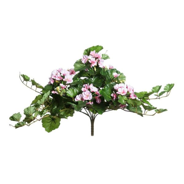 GERANIO FIORITO BOUQUETCM. 60 ROSA SCURO GERANIO FIORITO BOUQUETCM. 60 ROSA SCURO