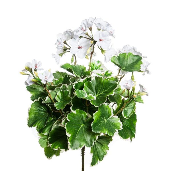GERANIO FIORITO BOUQUETCM.40 BIANCO GERANIO FIORITO BOUQUETCM.40 BIANCO
