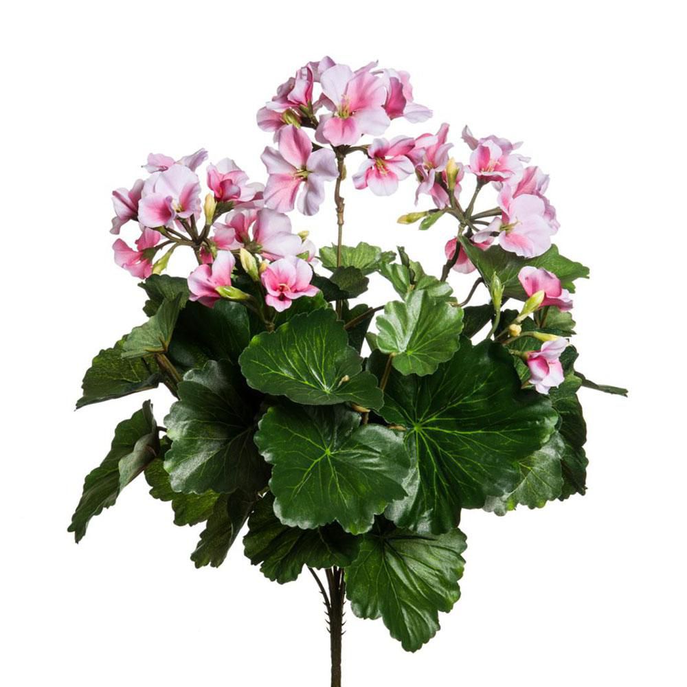 GERANIO FIORITO BOUQUETCM.40 ROSA SCURO GERANIO FIORITO BOUQUETCM.40 ROSA SCURO