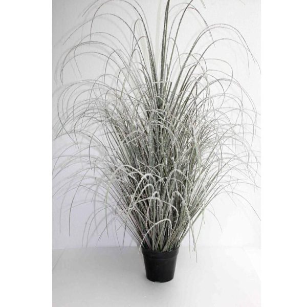 CIUFFO ERBA -ONION GRASS- C/VASO CM.120 VERDE FROSTED CIUFFO ERBA -ONION GRASS- C/VASO CM.120 VERDE FROSTED