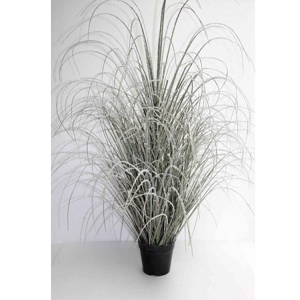 CIUFFO ERBA -ONION GRASS- C/VASO CM.120 VERDE FROSTED CIUFFO ERBA -ONION GRASS- C/VASO CM.120 VERDE FROSTED