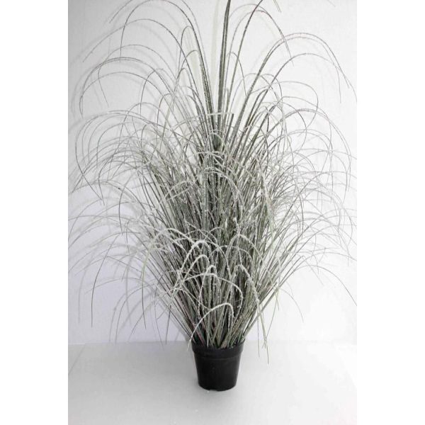 CIUFFO ERBA -ONION GRASS- C/VASO CM.152 VERDE FROSTED CIUFFO ERBA -ONION GRASS- C/VASO CM.152 VERDE FROSTED