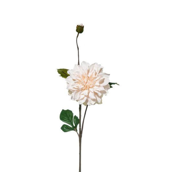 DALIA CM.82 BEIGE DALIA CM.82 BEIGE