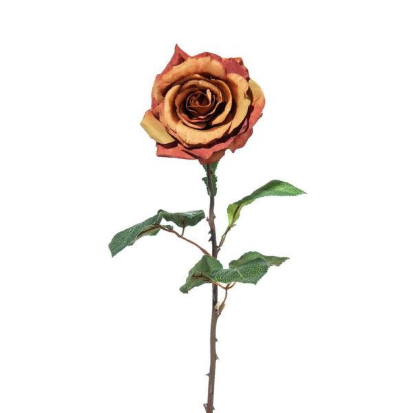 ROSA SINGOLA CM 52 MARRONE