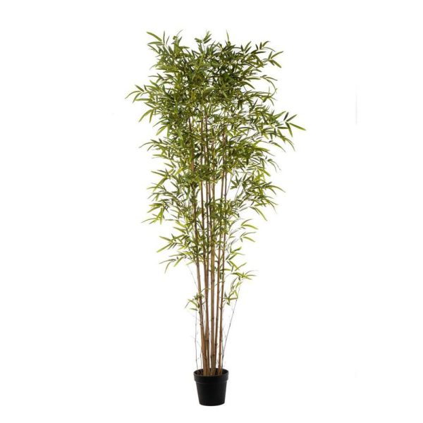 BAMBOO PIANTA C/VASO 3130F CM.210 VERDE BAMBOO PIANTA C/VASO 3130F CM.210 VERDE
