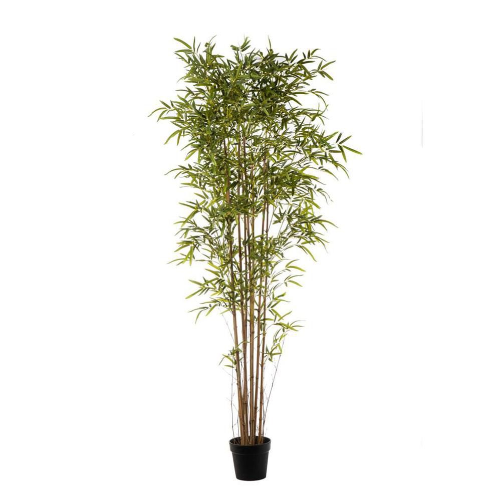 BAMBOO PIANTA C/VASO 3130F CM.210 VERDE BAMBOO PIANTA C/VASO 3130F CM.210 VERDE